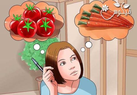 آموزش کاشت سبزی 2