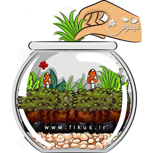 آموزش ساخت تراریوم