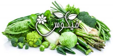 آموزش کاشت سبزیجات