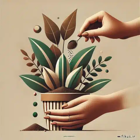 کود دهی گیاهان آپارتمانی
