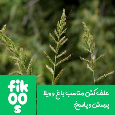 علف کش باغ