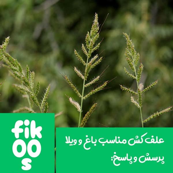 علف کش باغ