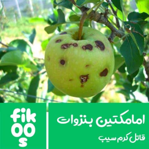 امامکتین بنزوات